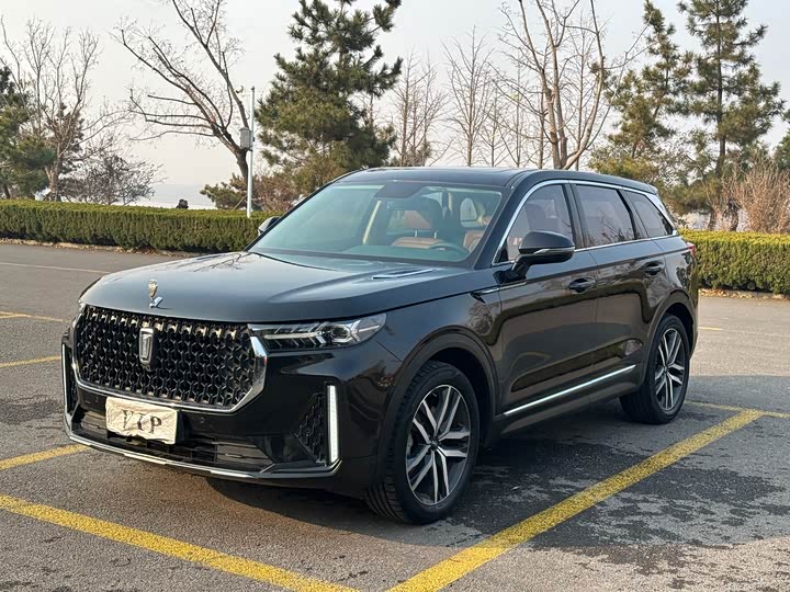 Фото 3 - Bestune T99