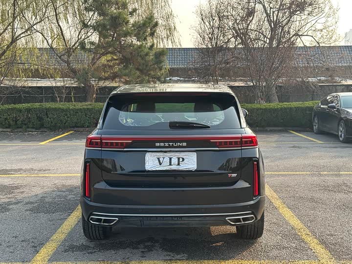 Фото 4 - Bestune T99