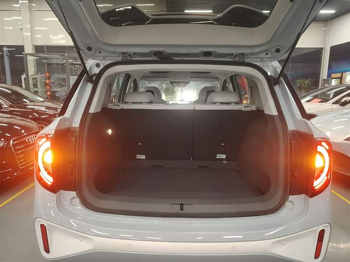 Фото 19 - BAIC Arcfox Kaola S