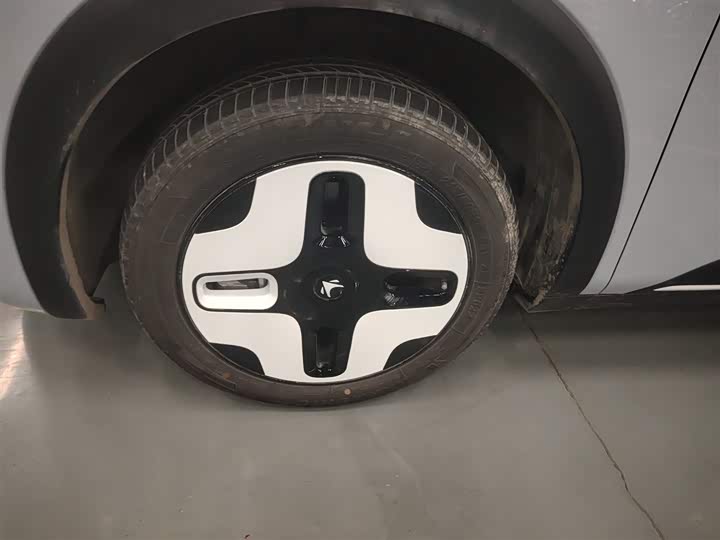 Фото 23 - BAIC Arcfox Kaola S