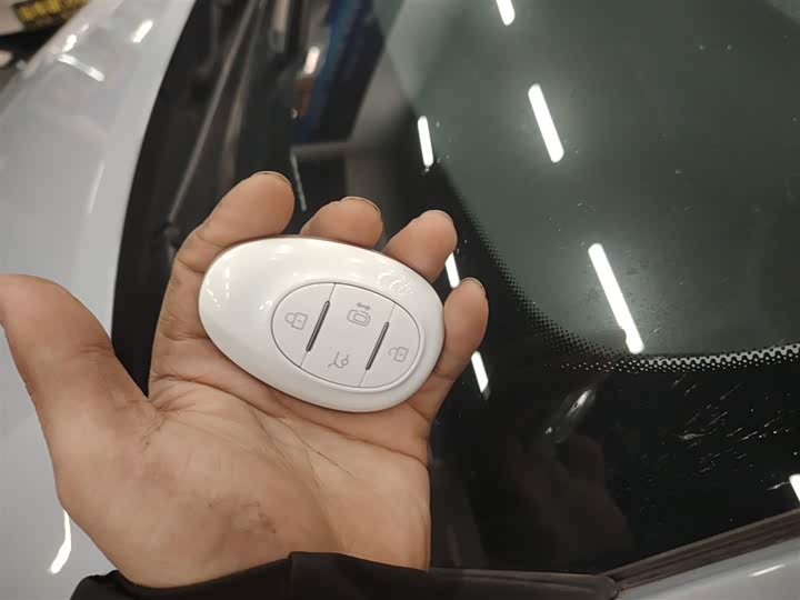 Фото 9 - BAIC Arcfox Kaola S