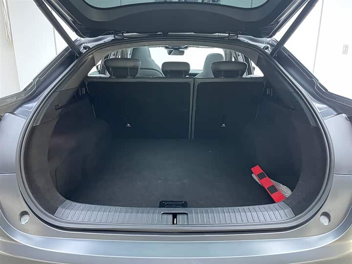 Фото 31 - BAIC Arcfox Alpha S