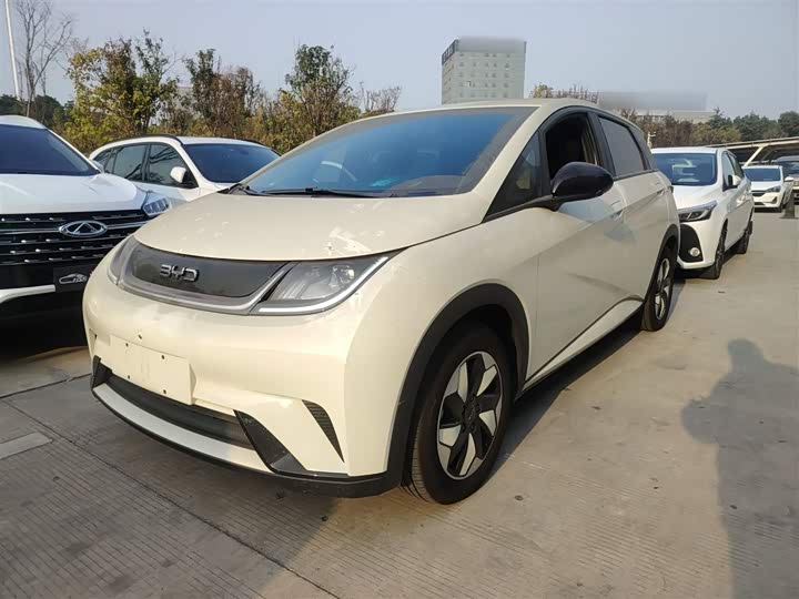 Фото 2 - BYD Dolphin