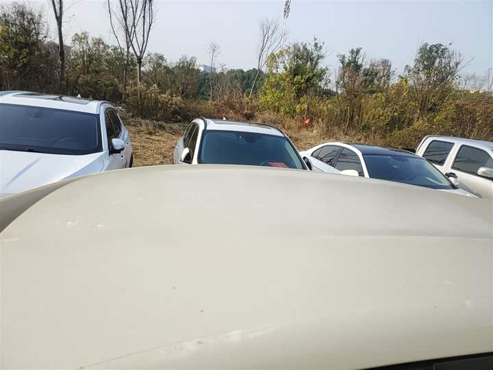 Фото 27 - BYD Dolphin