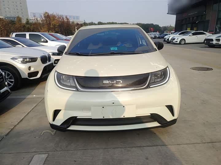 Фото 3 - BYD Dolphin