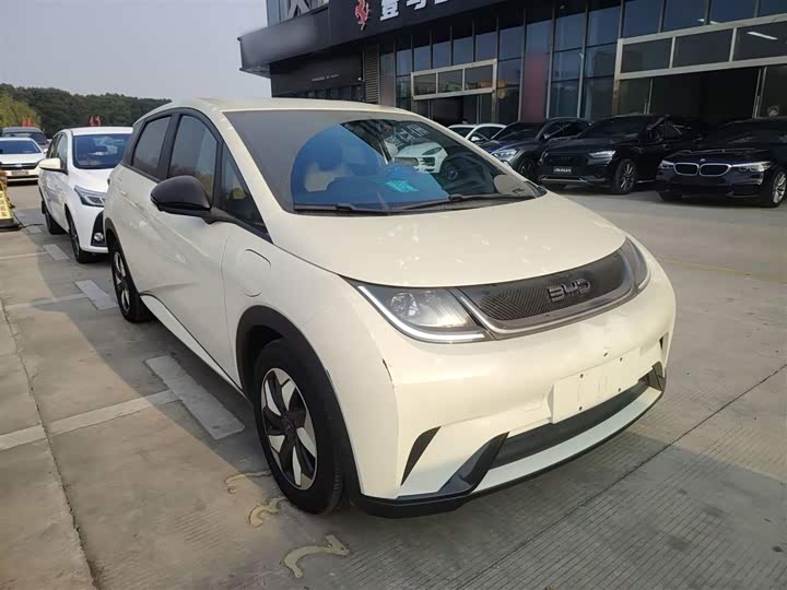 Фото 4 - BYD Dolphin