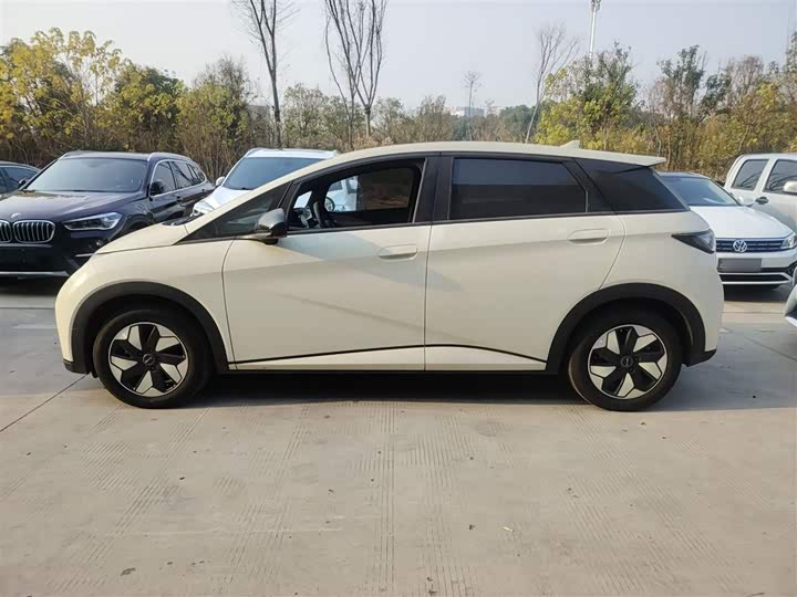 Фото 5 - BYD Dolphin