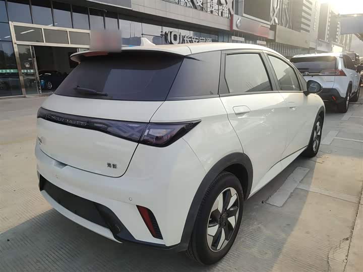 Фото 7 - BYD Dolphin