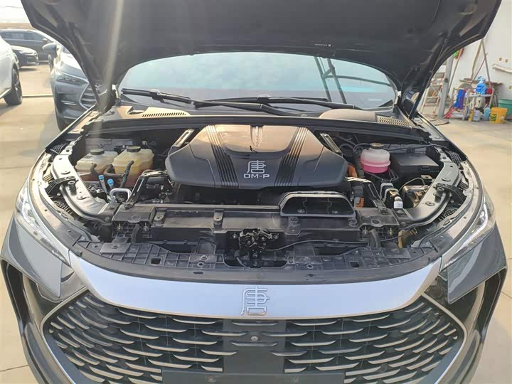 Фото 20 - BYD Tang Hybrid/EV