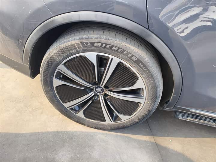 Фото 26 - BYD Tang Hybrid/EV