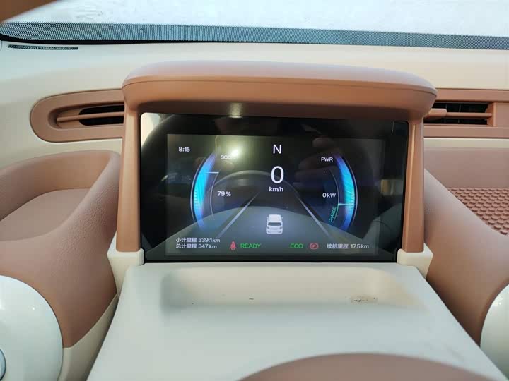 Фото 12 - Bestune Pony