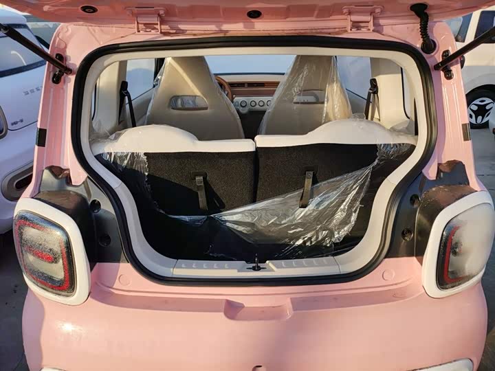 Фото 19 - Bestune Pony