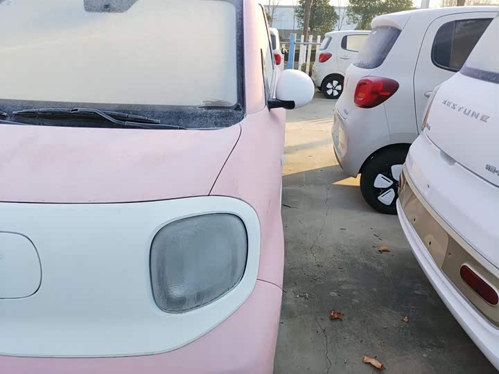 Фото 24 - Bestune Pony