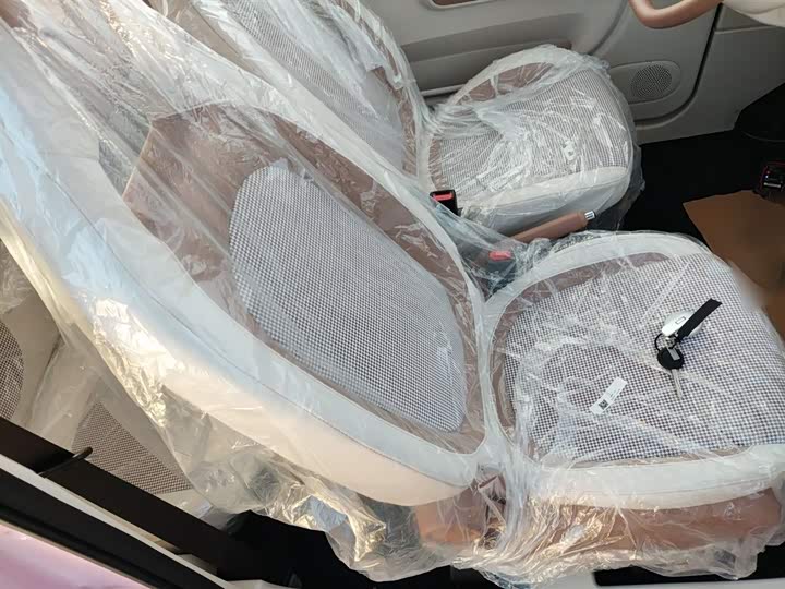 Фото 25 - Bestune Pony