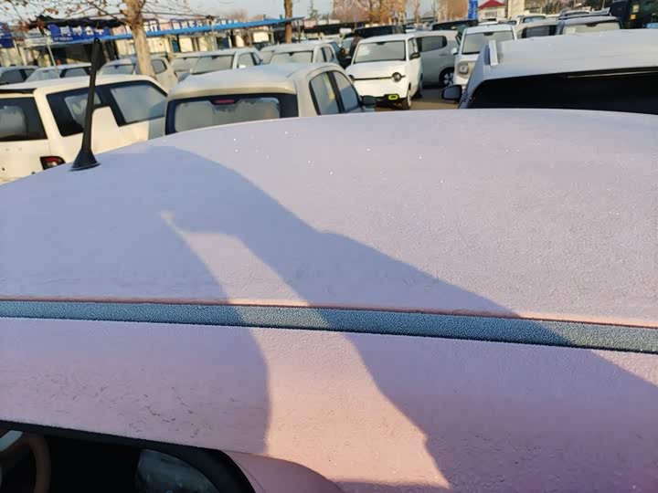 Фото 27 - Bestune Pony