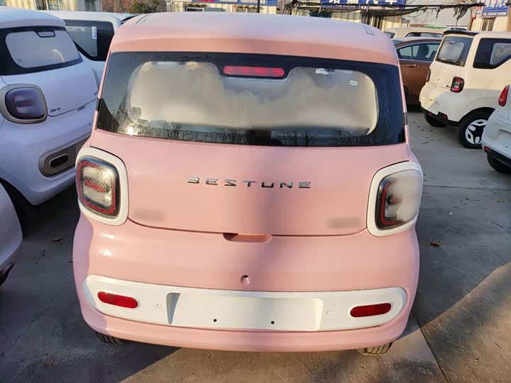 Фото 6 - Bestune Pony