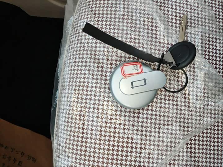 Фото 9 - Bestune Pony