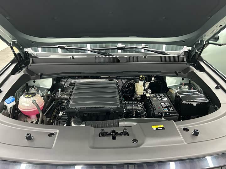 Фото 21 - Jetour Freedom