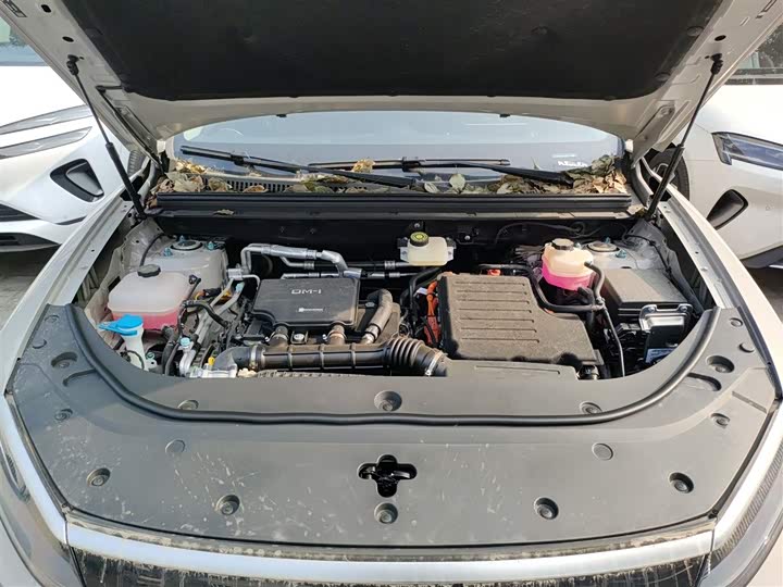 Фото 20 - BYD Sea Lion 05 DM-i Hybrid