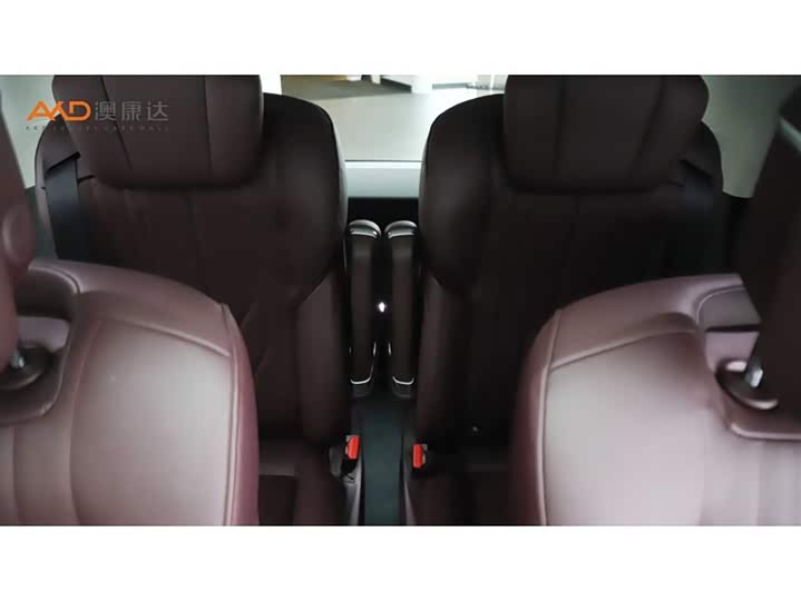 Фото 9 - Buick GL8 Century