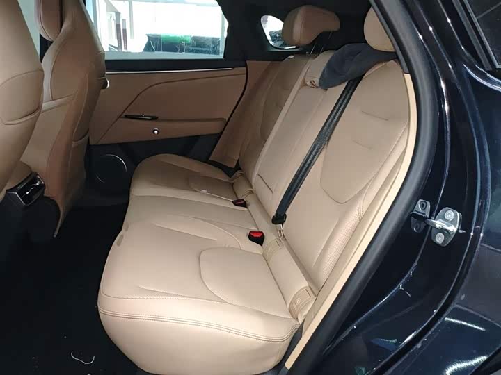 Фото 17 - BAIC Arcfox Alpha T5