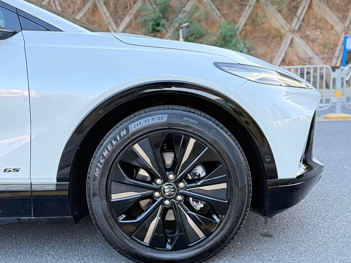 Фото 8 - Buick Electra E4