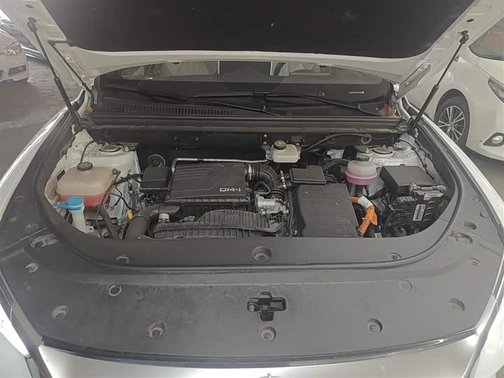 Фото 10 - BYD Song Pro Hybrid