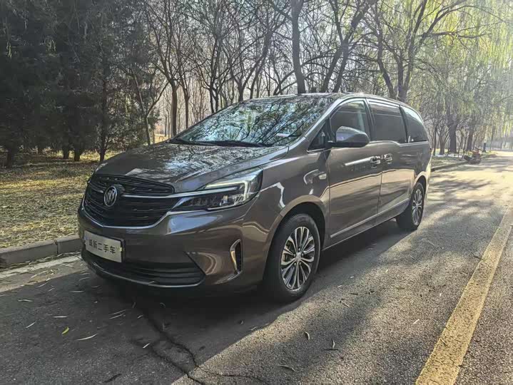 Фото 1 - Buick GL8 ES