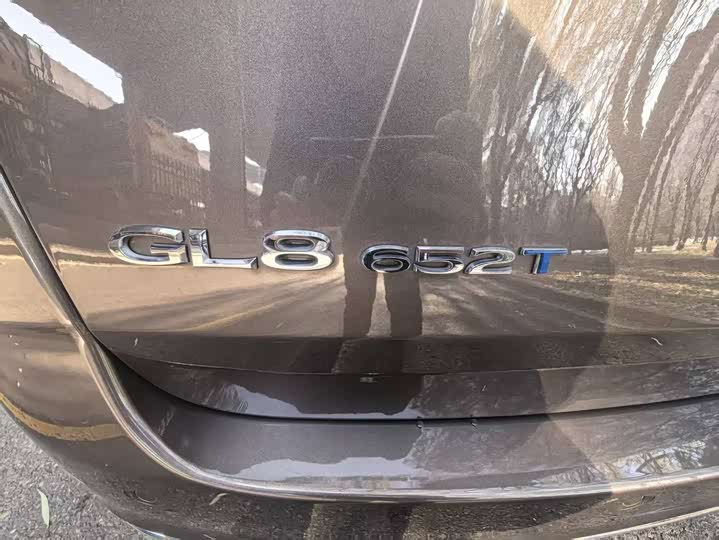 Фото 11 - Buick GL8 ES