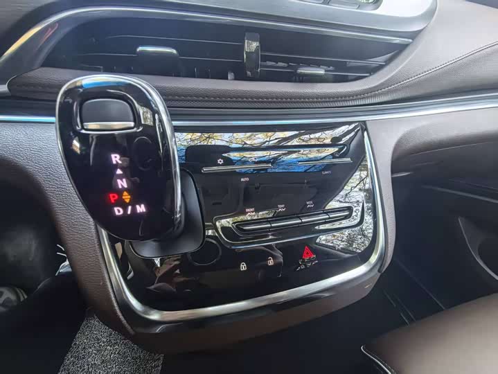 Фото 15 - Buick GL8 ES