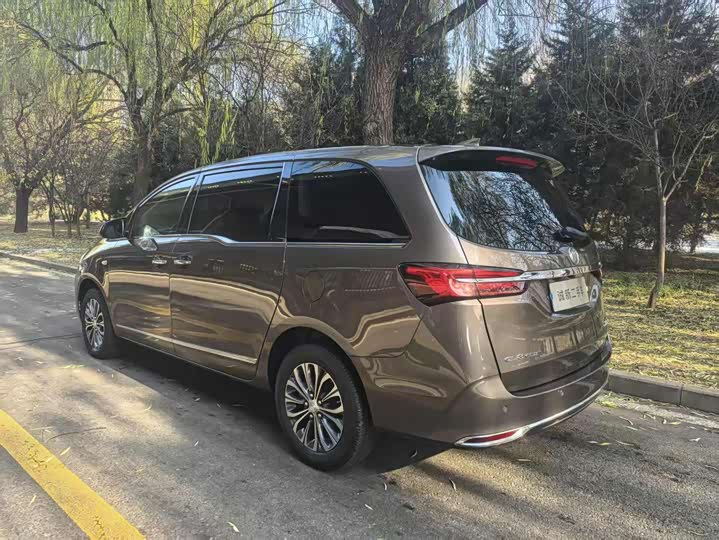 Фото 20 - Buick GL8 ES