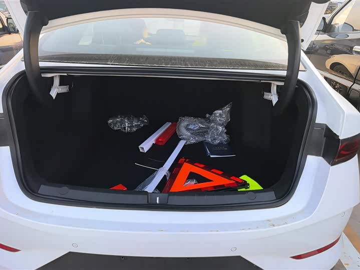 Фото 4 - BYD Qin Plus