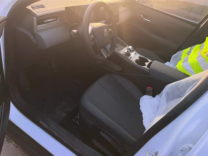 Фото 9 - BYD Qin Plus