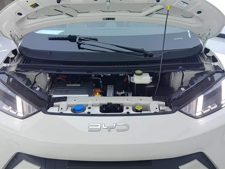 Фото 10 - BYD Seagull