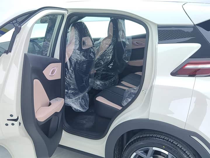 Фото 11 - BYD Seagull