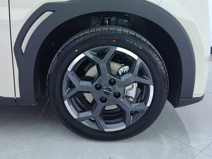 Фото 6 - BYD Seagull