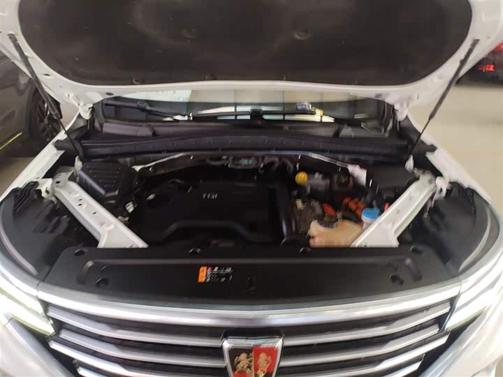 Фото 20 - Roewe RX5 eMax