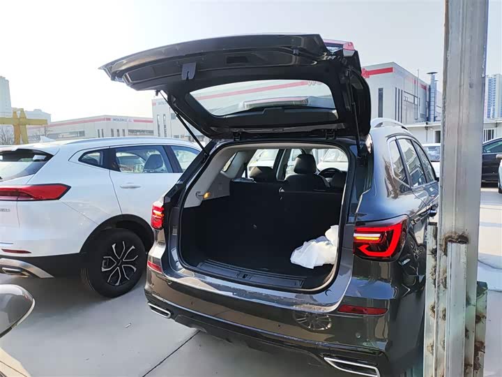 Фото 19 - Roewe RX5