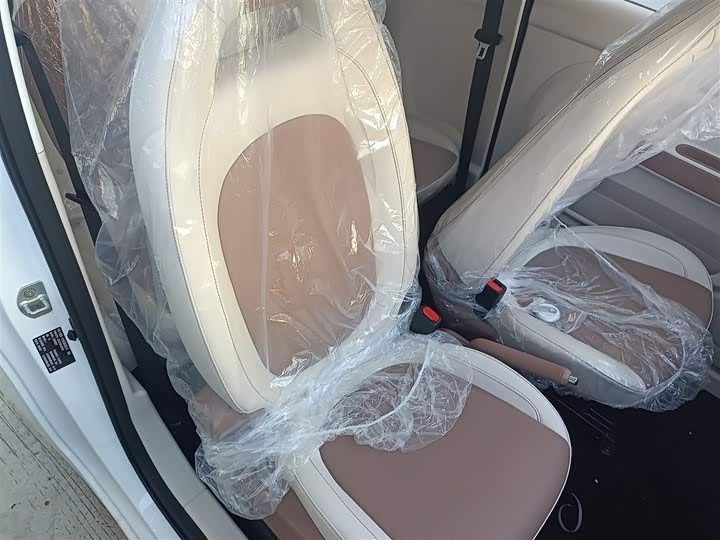 Фото 25 - Bestune Pony