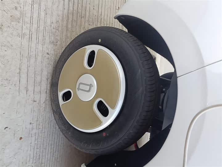 Фото 26 - Bestune Pony