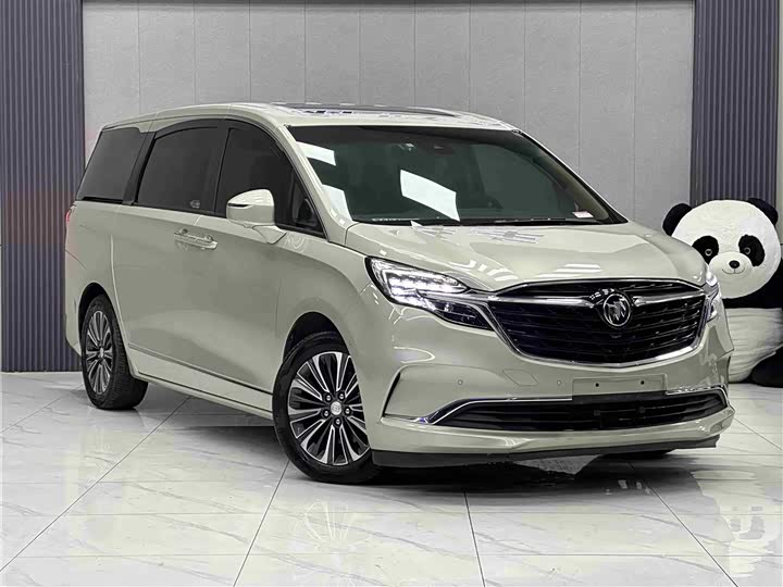 Фото 3 - Buick GL8 ES