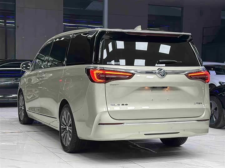 Фото 4 - Buick GL8 ES