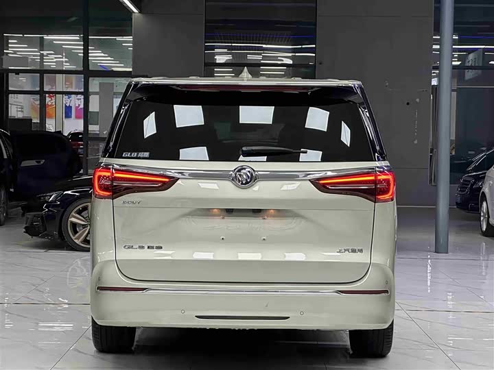 Фото 5 - Buick GL8 ES