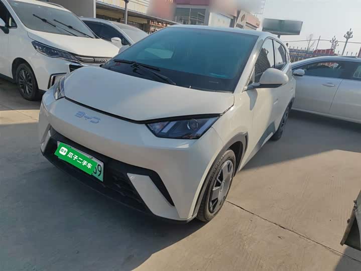 Фото 2 - BYD Seagull