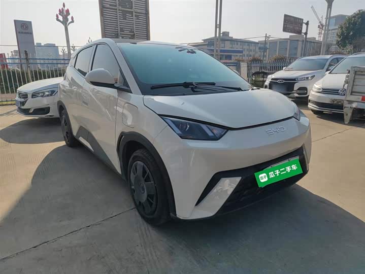 Фото 4 - BYD Seagull