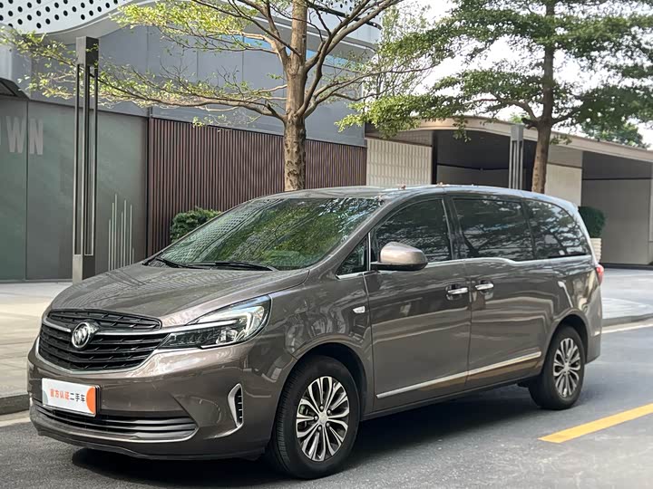 Фото 1 - Buick GL8 ES