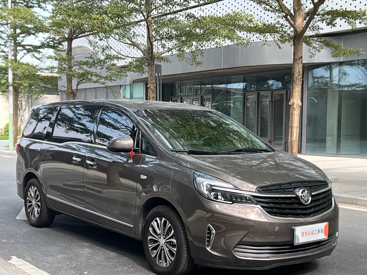 Фото 3 - Buick GL8 ES