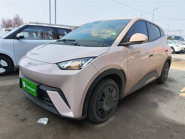 Фото 1 - BYD Seagull