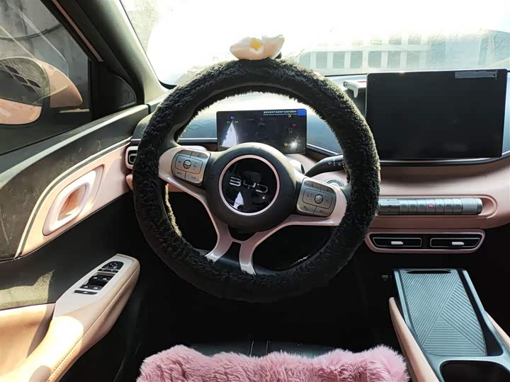 Фото 11 - BYD Seagull