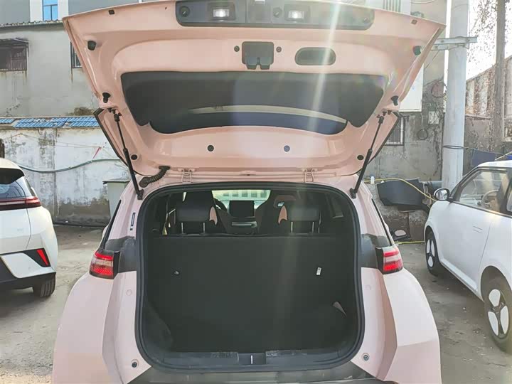 Фото 19 - BYD Seagull